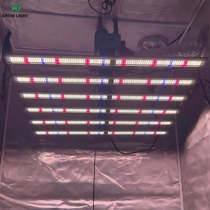 Professional Grow Lights