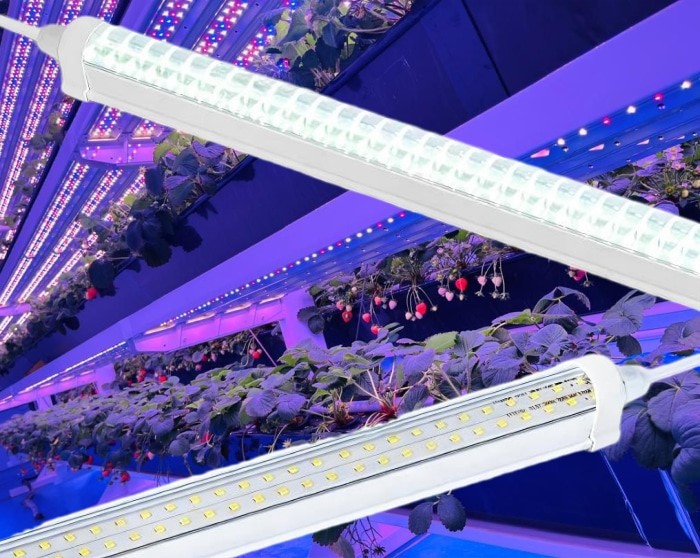 T12 waterproof LED tube grow lights T12 waterproof LED tube grow lights